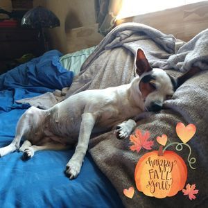 Meet your Posher, Carol